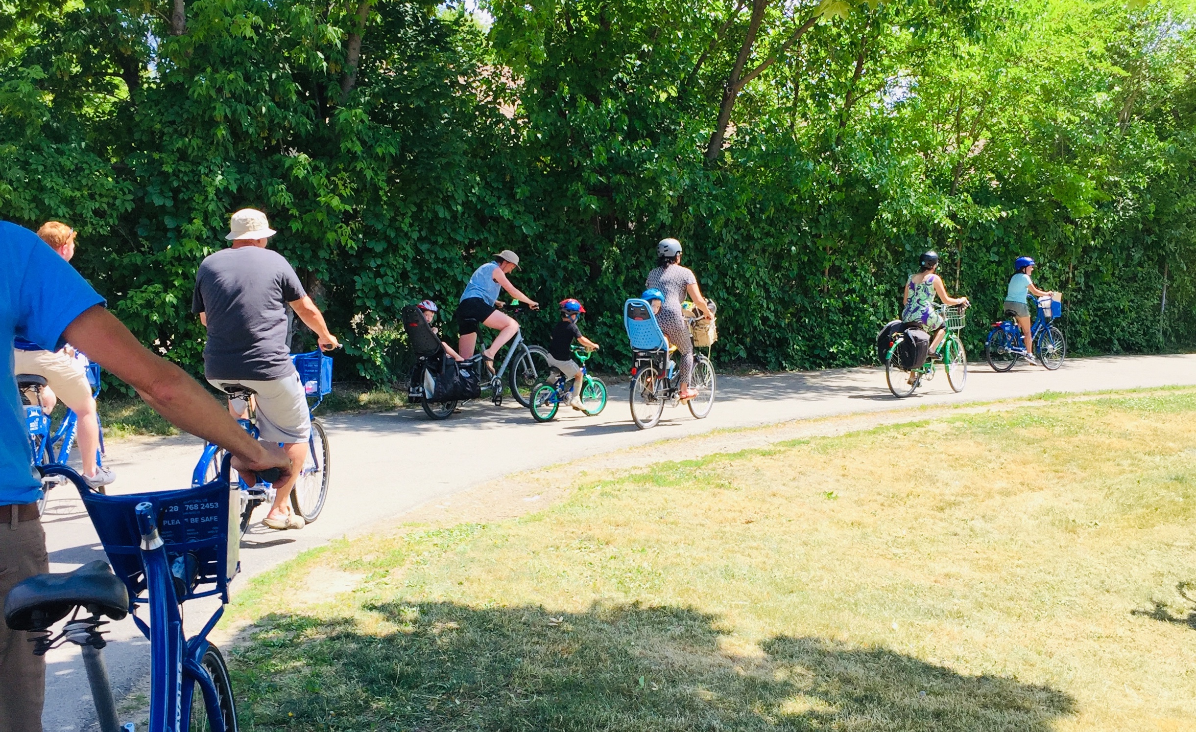 A small group of people cycling on a trail, photographed from behind the group