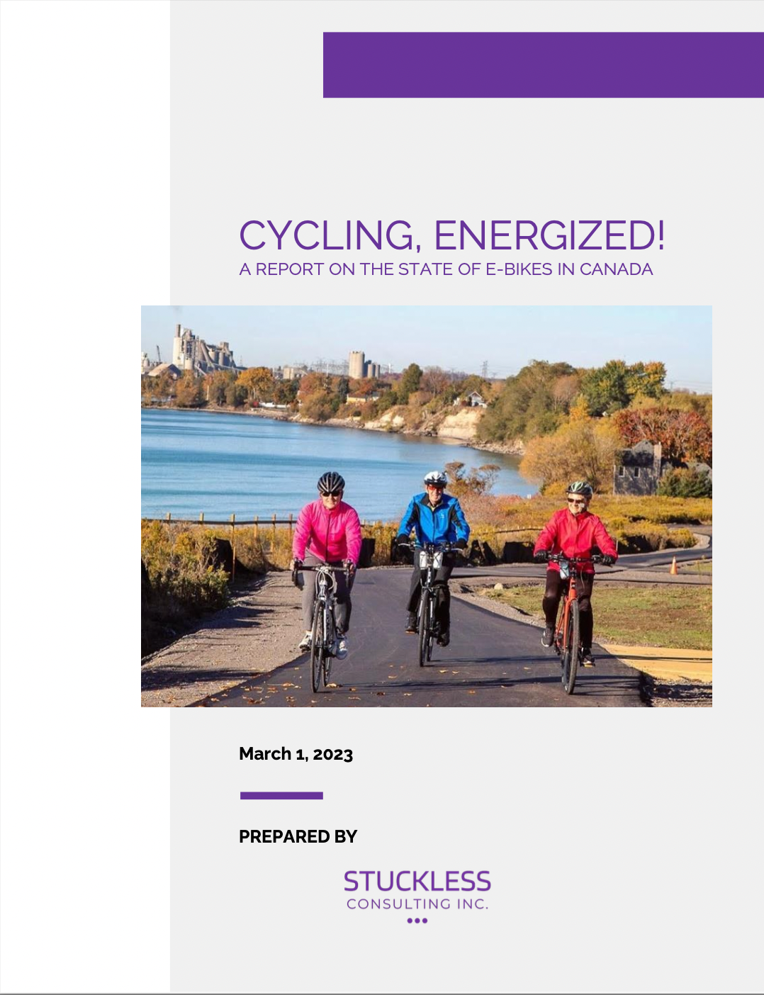 New screenshot of e-bike report